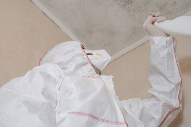 Best Mold Remediation  in Caryville, TN