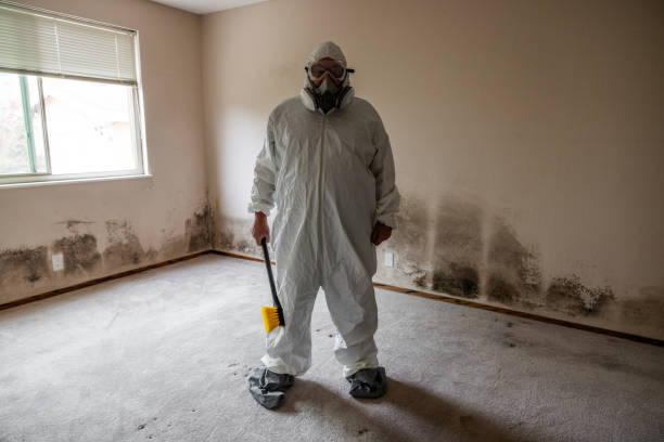 Best Professional Mold Removal  in Caryville, TN